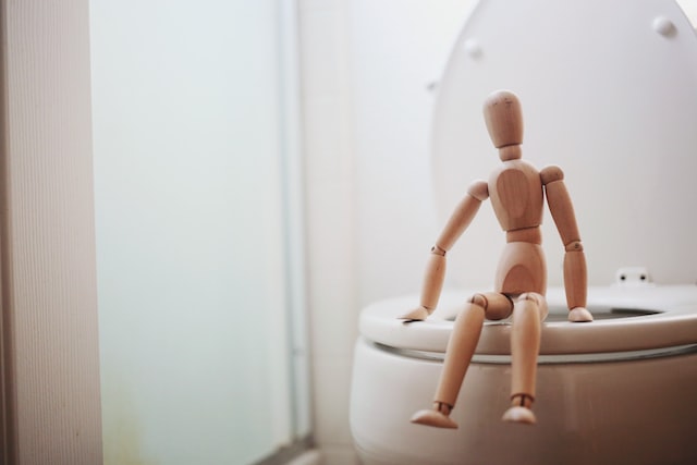 Wooden doll sitting on a toilet seat